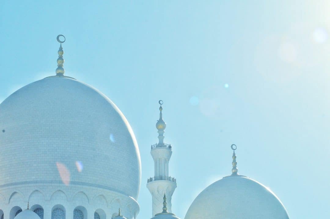 sheikh zayed grand mosque morning sun drenched mosque dime mosque islamic architecture architecture.jpg